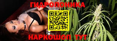крисы Тара