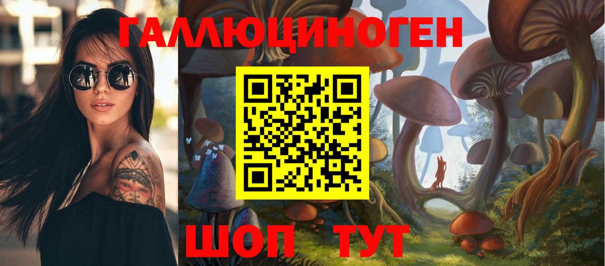 Ливны  Псилоцибиновые грибы Cubensis  Вход с VPN 